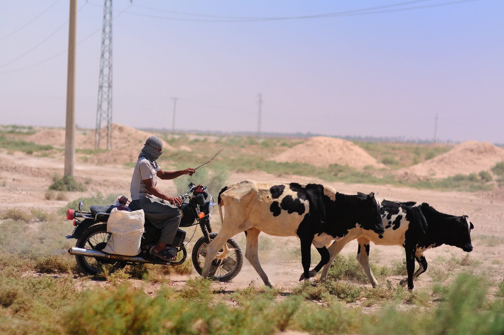 Wasit Province